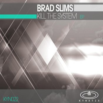 Brad Slims Kill the System (Original mix)