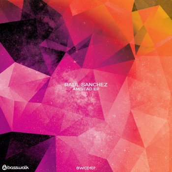 Raul Sanchez Fukuro - Original Mix