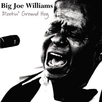 Big Joe Williams My Grey Pony