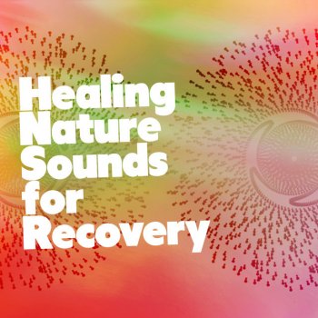 Healing Sounds for Deep Sleep and Relaxation Park Birds