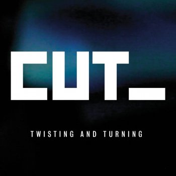 Cut_ Twisting and Turning