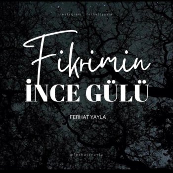 Ferhat Yayla Fikrimin İnce Gülü