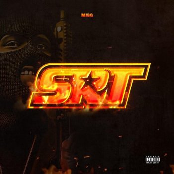Исполнитель Migg, альбом SRT