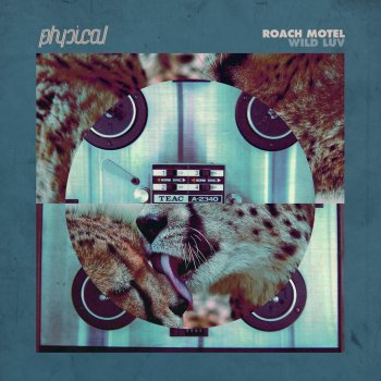 Исполнитель Roach Motel, альбом Wild Luv (Remixes)