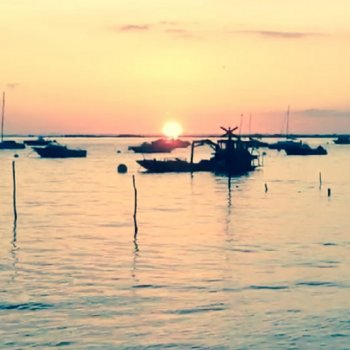 Исполнитель Calme, альбом Cité lumineuse 1982