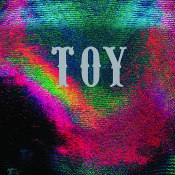 TOY Reasons Why