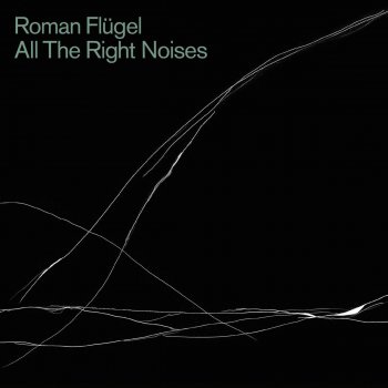 Roman Flügel Dust