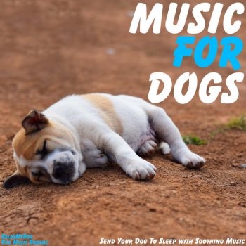 Relaxmydog feat. Dog Music Dreams Best Behaviour