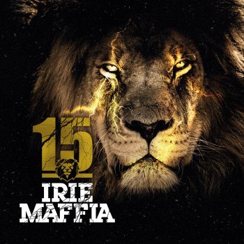 Irie Maffia Up & Away