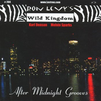 Исполнитель Karl Denson, альбом After Midnight Grooves