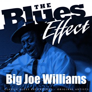 Big Joe Williams & His 9 String Guitar Bluebird Blues