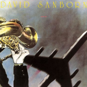 David Sanborn It Took A Long Time