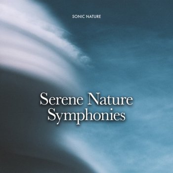 Sonic Nature Bluebird Up