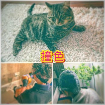 Lai Kei feat. CheukLung & Timnawty 撞色 (feat. CheukLung & Timnawty)