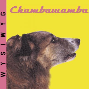 Chumbawamba She's Got All The Friends That Money Can Buy