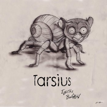 Tarsius Turbulence Violence