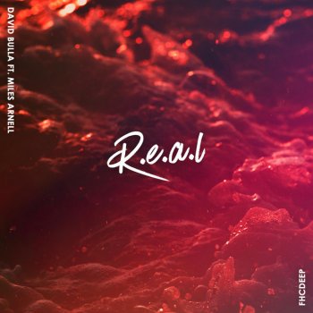 David Bulla feat. Miles Arnell R.E.A.L