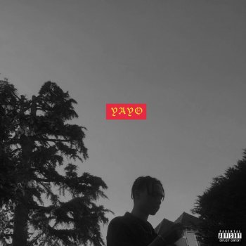 Oboy Yayo