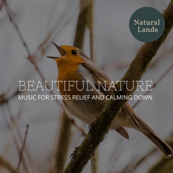 Adorable Nature Looks Warm Wind