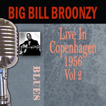 Big Bill Broonzy Somebody Loves Me [live]