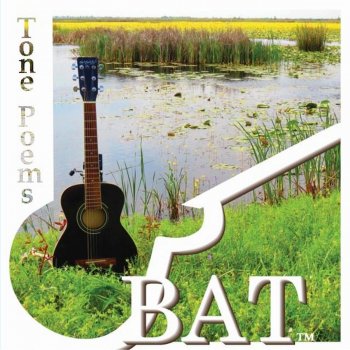 BAT Brooklyn Song