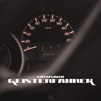 Sayonara Geisterfahrer