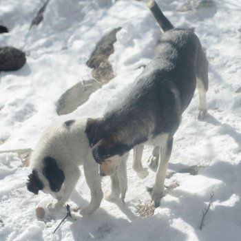 Исполнитель Увула, альбом тут и там (here and there) - Single