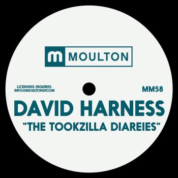 David Harness Taking It To The Head - Original Mix
