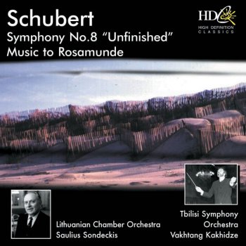 Franz Schubert feat. Saint Petersburg Orchestra of the State Hermitage Museum Camerata Rosamunde, D. 797 : No. 2, Ballet Music No. 2. Andantino