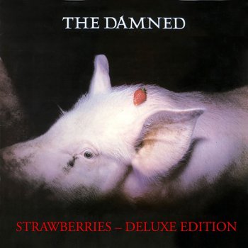 The Damned The Dog