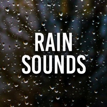 Meditation Music Rain Therapy
