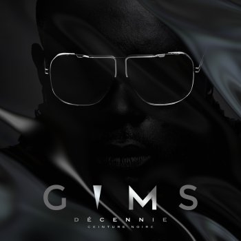 Maître Gims Caméléon