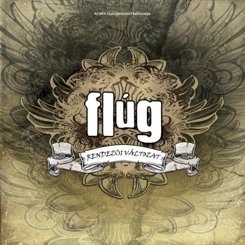 Flug Intro