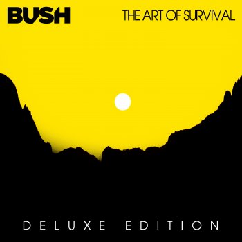 Bush 1000 Years (with Amy Lee)