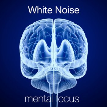 Binaural Beats Brain Waves Isochronic Tones Brain Wave Entrainment White Noise: Rest