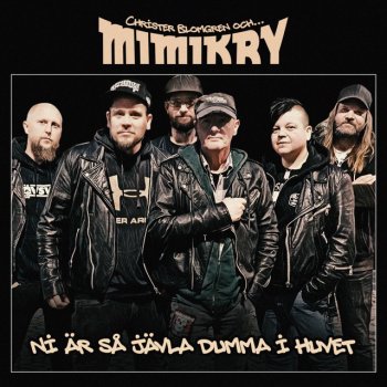 Исполнитель Mimikry, альбом Ni är så jävla dumma i huvet