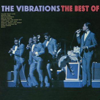 The Vibrations Hello Happiness