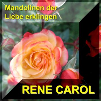 René Carol Wenn ich im Tagebuch der Liebe schöne Tage such (Tango)