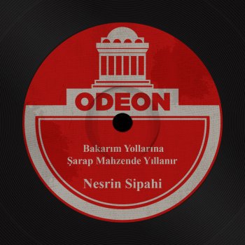 Nesrin Sipahi Bakarım Yollarına