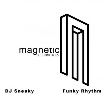 DJ Sneak Funky Rhythm (Original Mix)