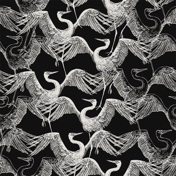 Birds of Mind Ankara (Zone+ & Usif Remix)