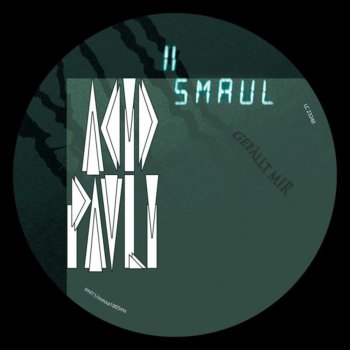 Acid Pauli Flamenco Remix