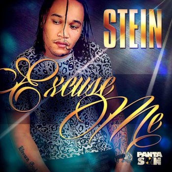 Stein Excuse Me - Raw