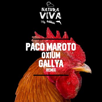 Paco Maroto Oxium (Gallya Remix)