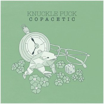 Knuckle Puck In Your Crosshairs