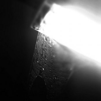 Исполнитель maroon bat, альбом THE BARRIER