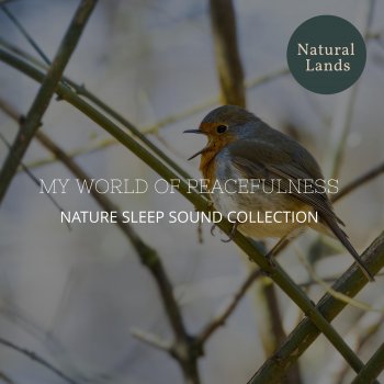 Green Nature Sound Club Calm Songbirds