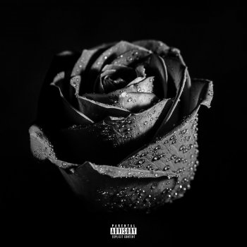 Исполнитель LOVEINPARI$, альбом Stop Playin'