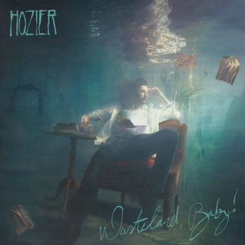 Hozier Why Would You Be Loved