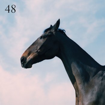 Moss Kena feat. Jay Prince 48